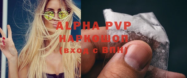 стафф Бородино
