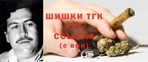 стафф Бородино