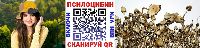 omg онион  Ижевск  Галлюциногенные грибы Psilocybine cubensis 